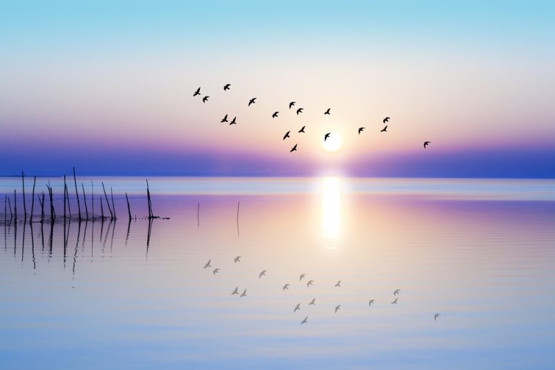 shutterstock_717218890