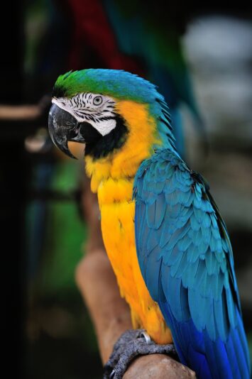 shutterstock_167093912