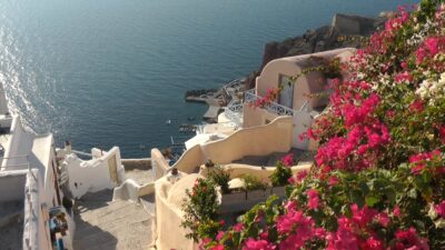 pexels_videos_1251507 (1080p)